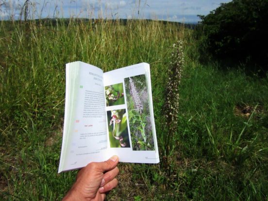 Les orchidées sauvages du Tarn: LE livre