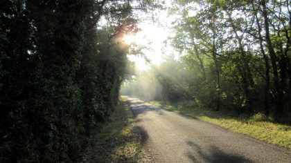 Joli chemin