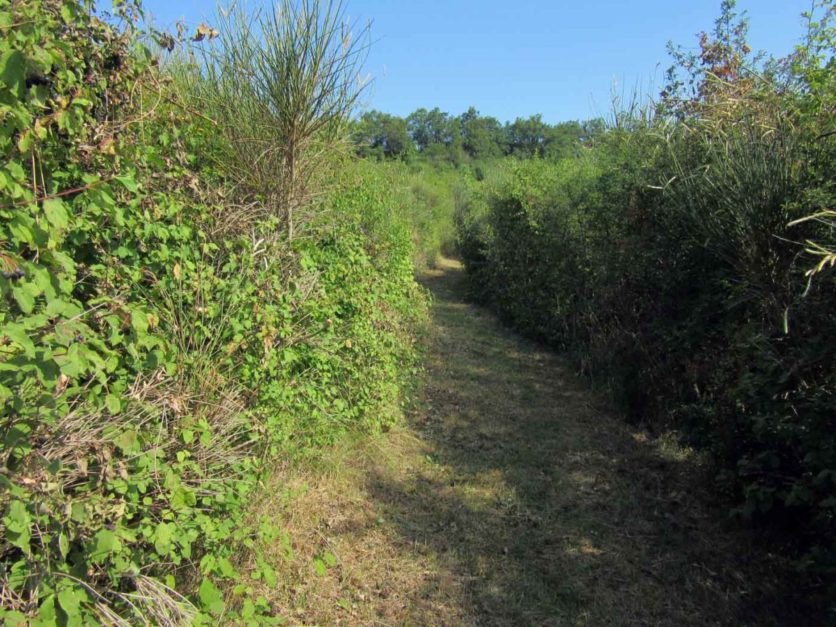 Le Labyrinthe de La Couronne - Ligne droite