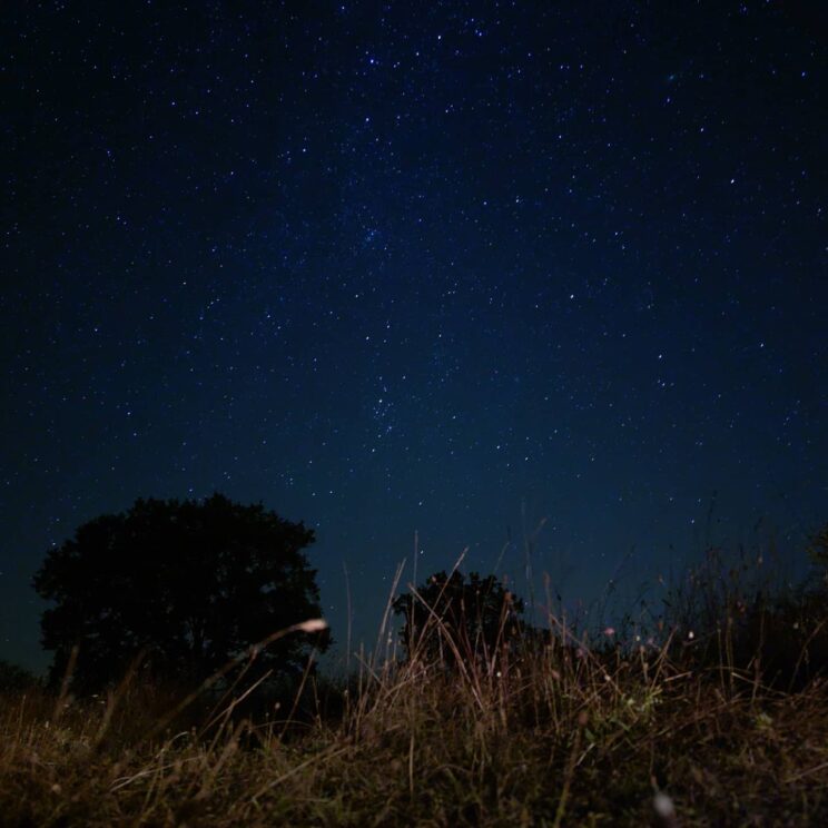 Ciel de Cordes étoilé - Photo Arthur Nay